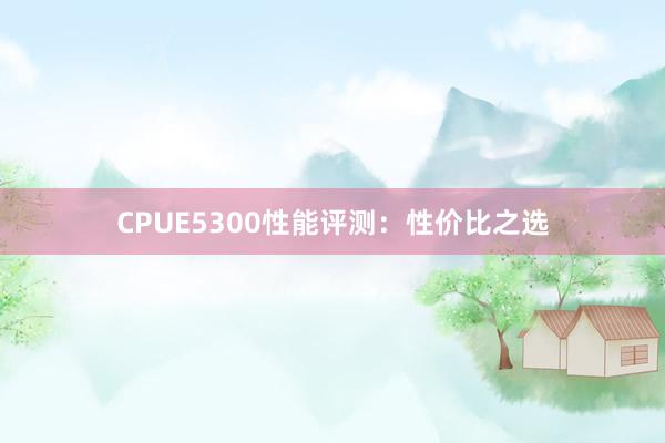 CPUE5300性能评测：性价比之选